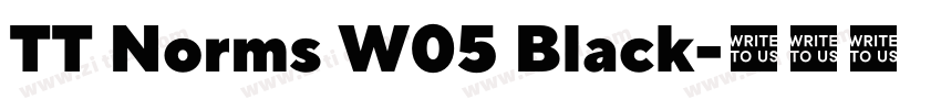 TT Norms W05 Black字体转换 TT Norms W05 Black字体转换
